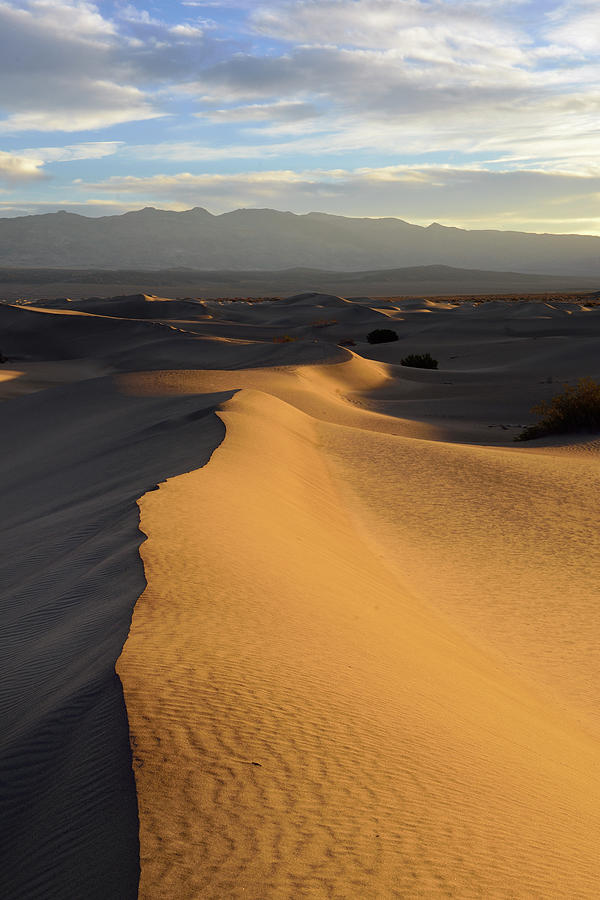 Mesquite Flat Sand Dunes at sunrise,  Death Valley, California Photograph by Kevin Oke