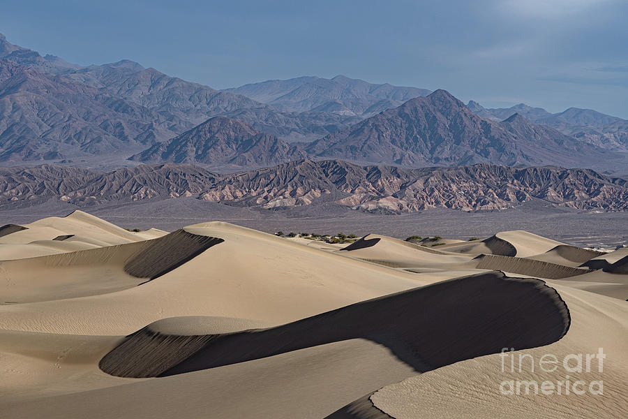 Mesquite Flat Sand Dunes Photograph by Brian Kamprath