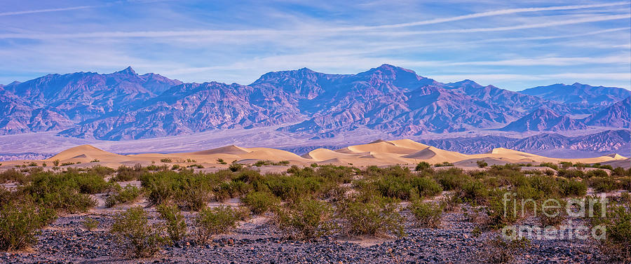 Mesquite Flat Sand Dunes Photograph by Charles Dobbs