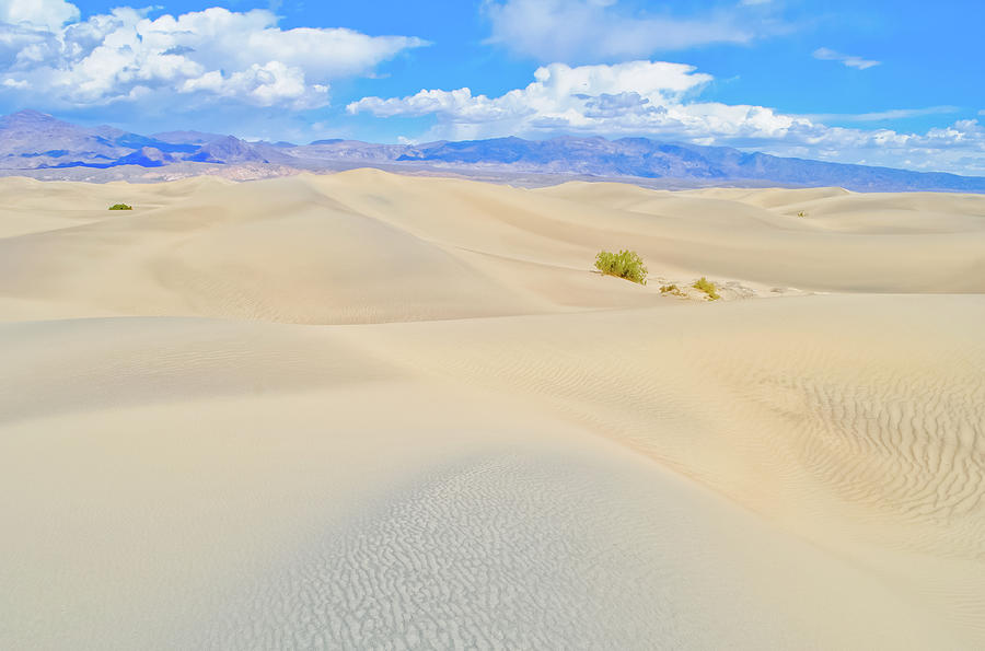Mesquite Flat Sand Dunes Death Valley Photograph by Kyle Hanson