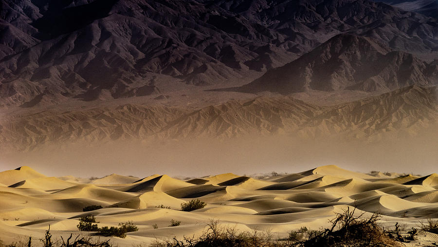 Mesquite Flat Sand Dunes Death Valley Photograph by Marian Tagliarino