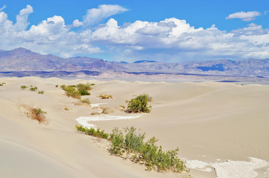 Mesquite Flat Sand Dunes Photograph by Kyle Hanson