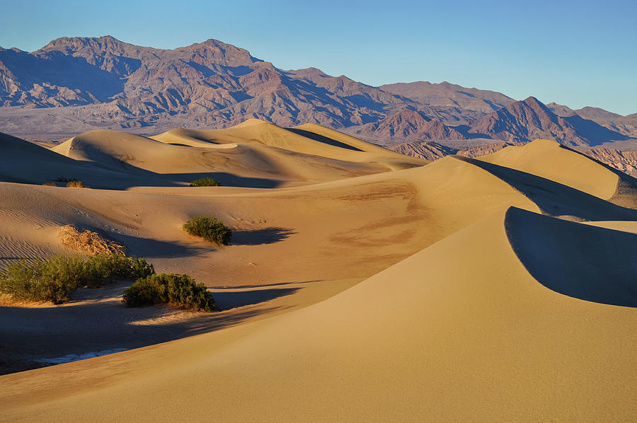 Mesquite Flat Sand Dunes Landscape Photograph by Kyle Hanson