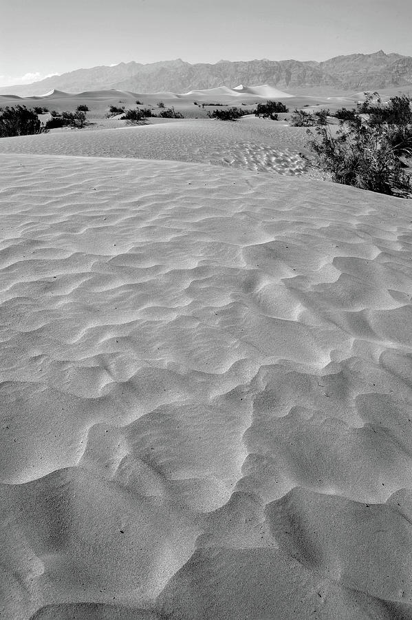 Mesquite Flats in Death Valley Photograph by James C Richardson