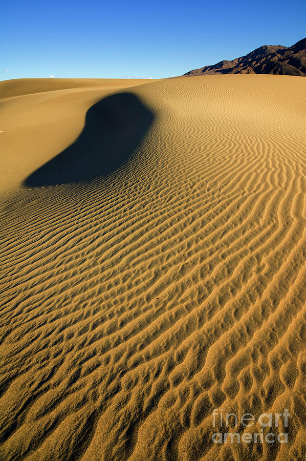 Mesquite Flats sand dune patterns, Death Valley, California Photograph by Neale And Judith Clark