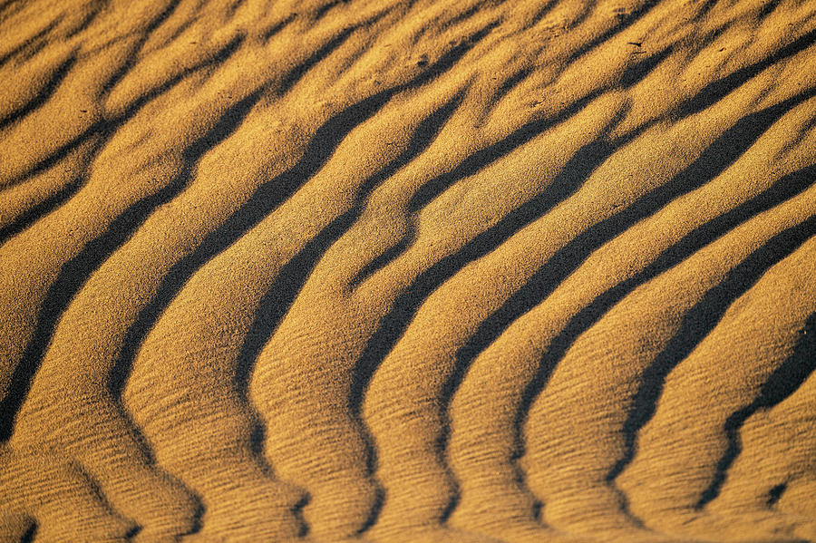 Mesquite Sand Abstract Photograph by William Kennedy