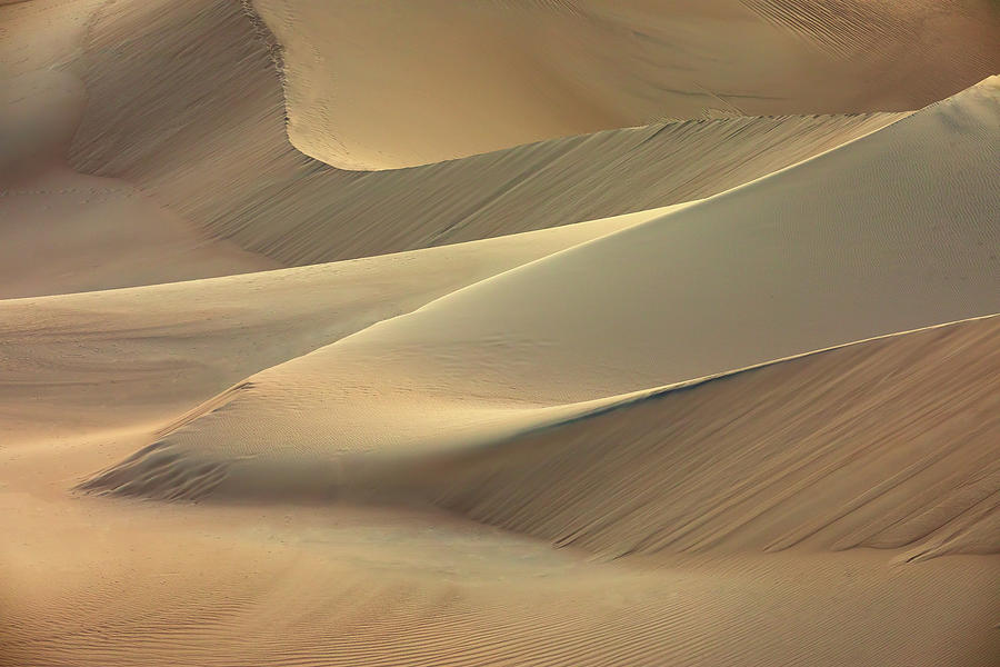 Mesquite Sand Dune Abstract Photograph