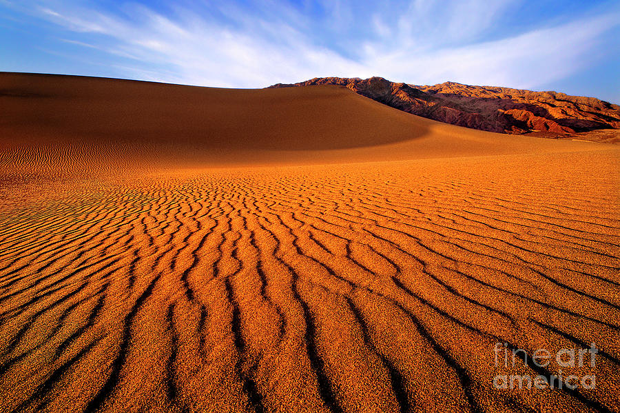 Mesquite Sand Dune Patterns Death Valley California Photograph by Dave Welling