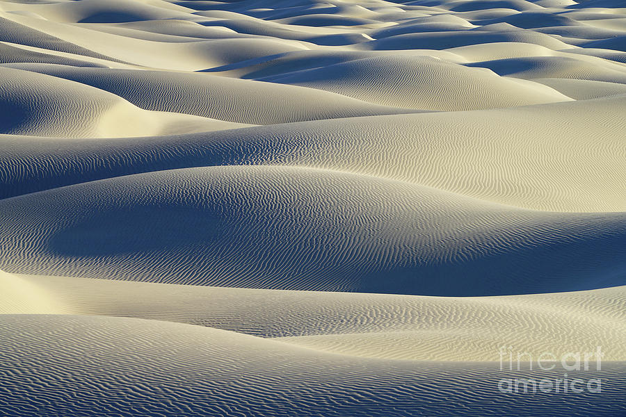 Mesquite Sand Dunes - 20231 Photograph by Benedict Heekwan Yang