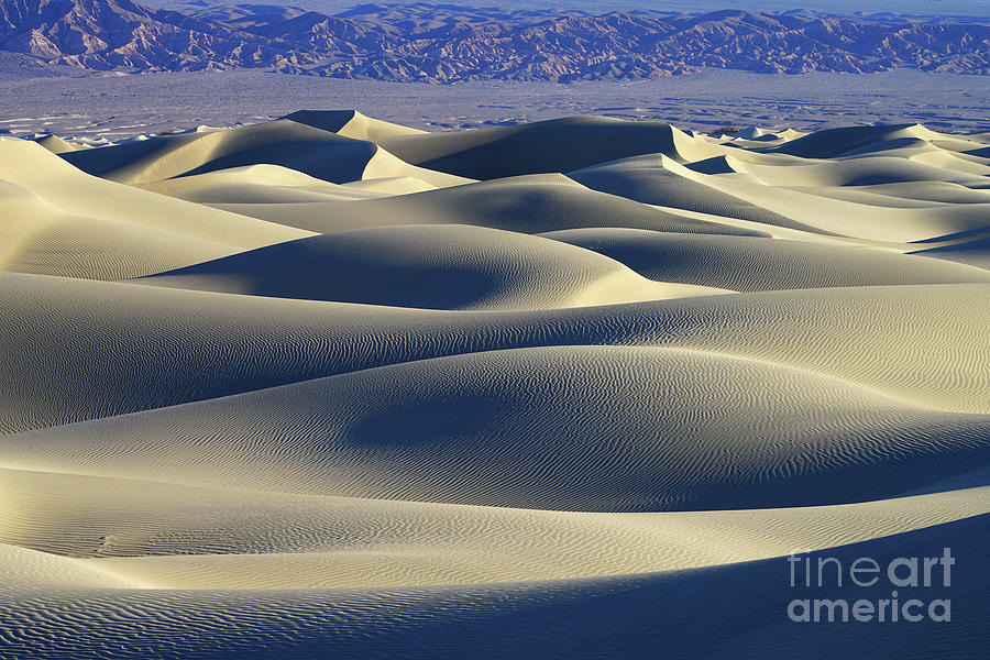 Mesquite Sand Dunes - 20232 Photograph by Benedict Heekwan Yang