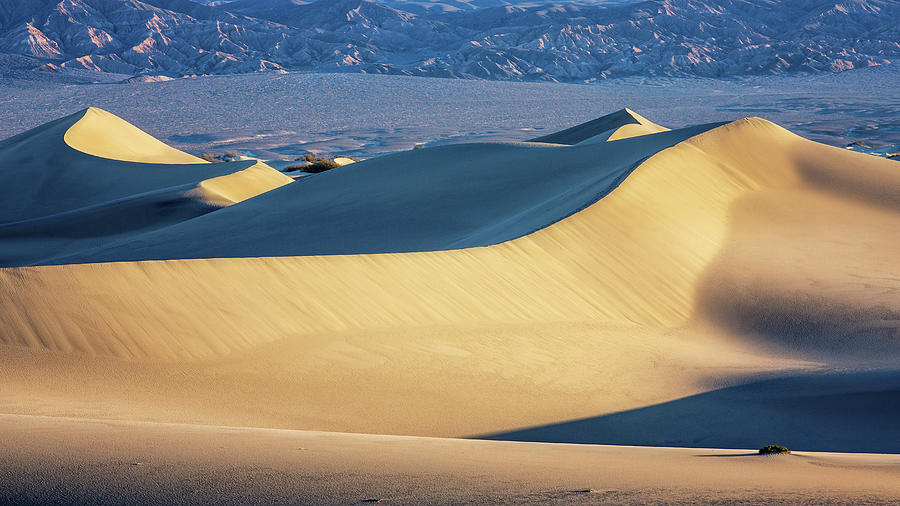 Mesquite Sand Dunes Photograph by Alex Mironyuk - Fine Art America