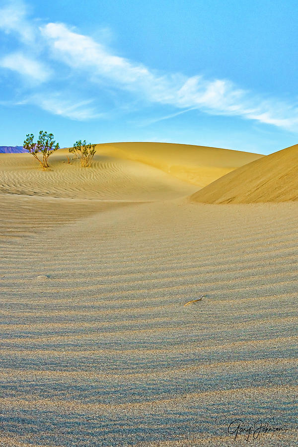 Mesquite Sand Dunes Photograph by Gary Johnson