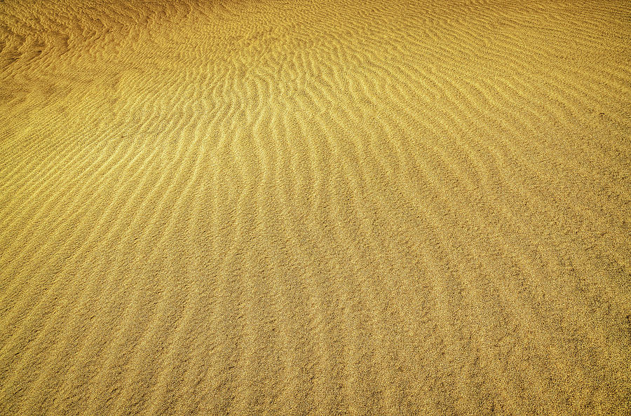 Mesquite Sand Dunes Photograph by Spencer McDonald