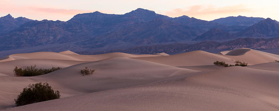 Mesquite Sand Dunes Photograph by Wolfgang Wörndl