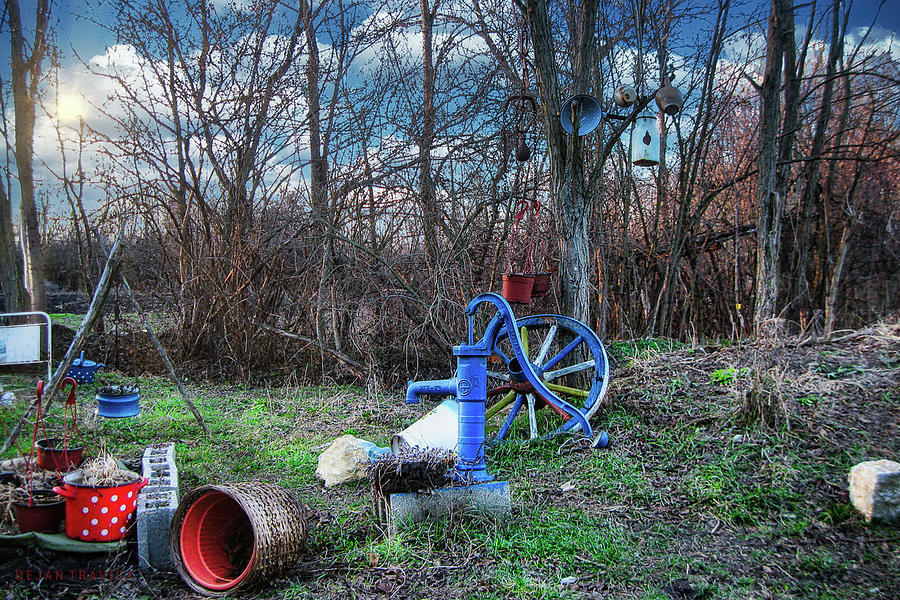 Mess in the forest Photograph by Dejan Travica Mess in the forest Photograph by Dejan Travica