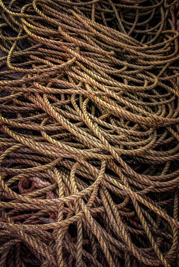 Mess of Fishing Ropes Photograph by Carlos Caetano