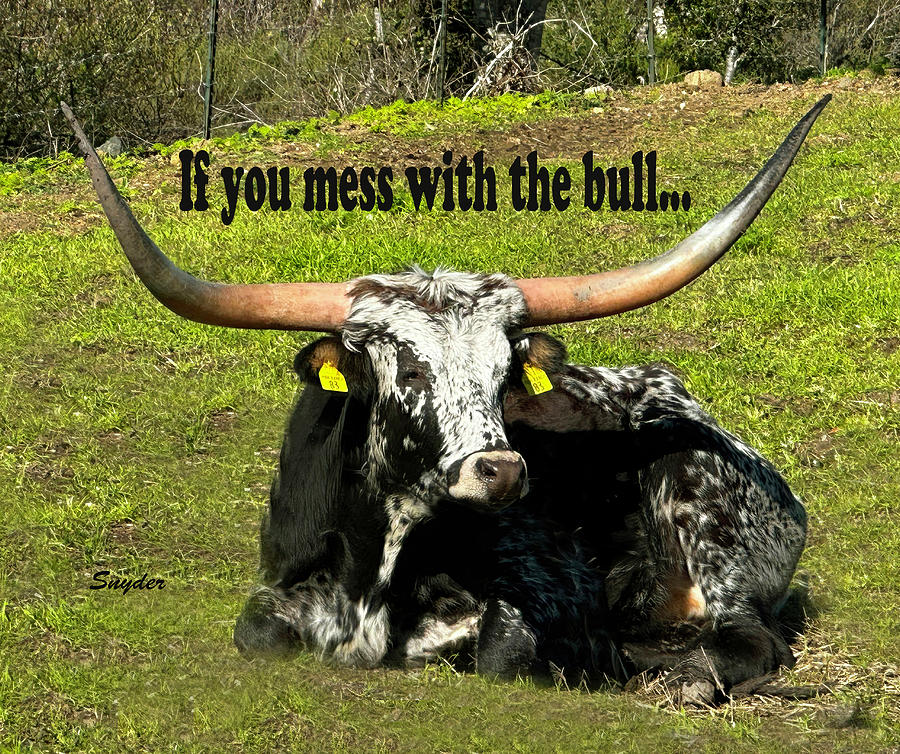 Mess With the Bull Longhorn Photograph by Floyd Snyder