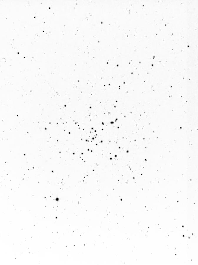 Astronomy Photograph - Messier 41 - Negative by Jussi Laasonen Astronomy Photograph - Messier 41 - Negative by Jussi Laasonen