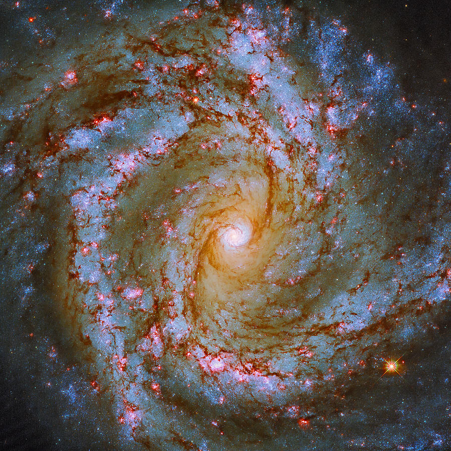 Messier 61 Photograph