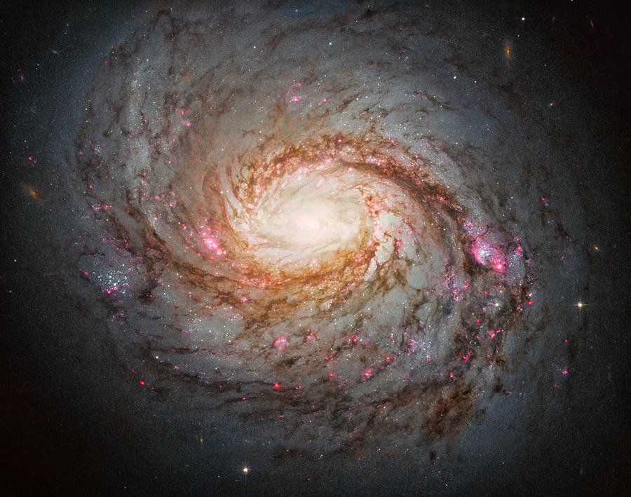 Interstellar Photograph - Messier 77  by Mango Art