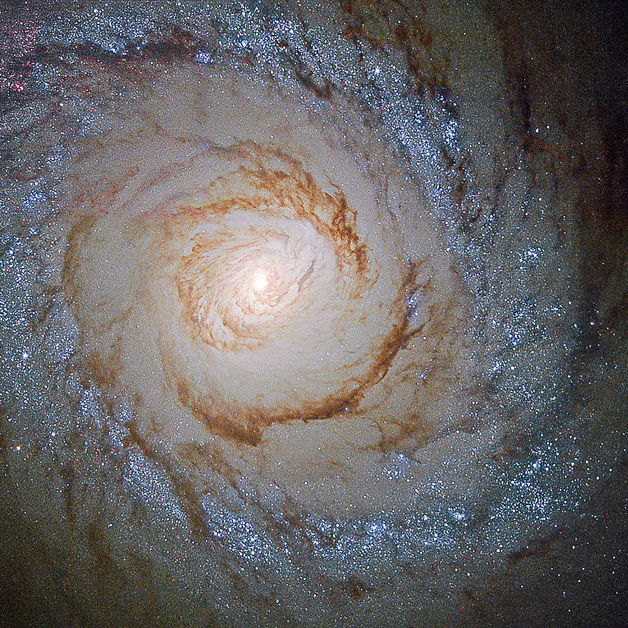 Interstellar Photograph - Messier 94 Starburst Galaxy by Mark Andrew Thomas