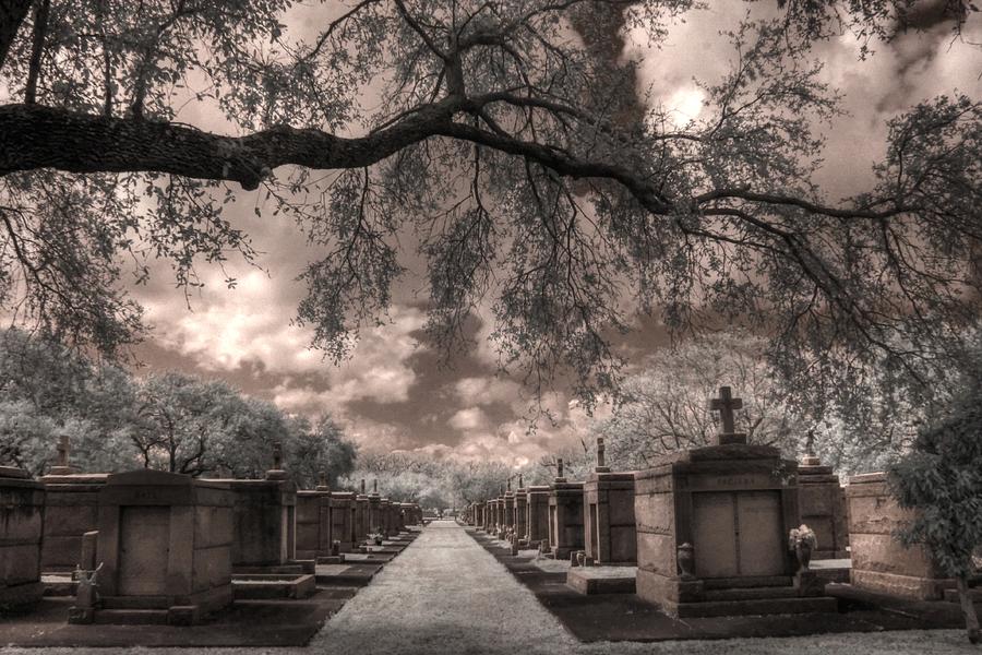 Metairie Cemetery New Orleans  Photograph by Jane Linders