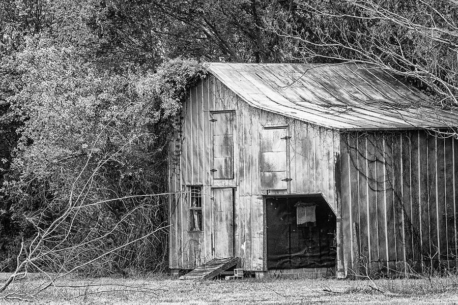 Metal Barn Forgotten and Abandoned Photograph by Bob Decker
