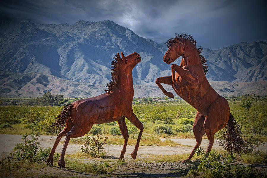 Metal Horse Sculptures of Mustangs Fighting Photograph by Randall Nyhof