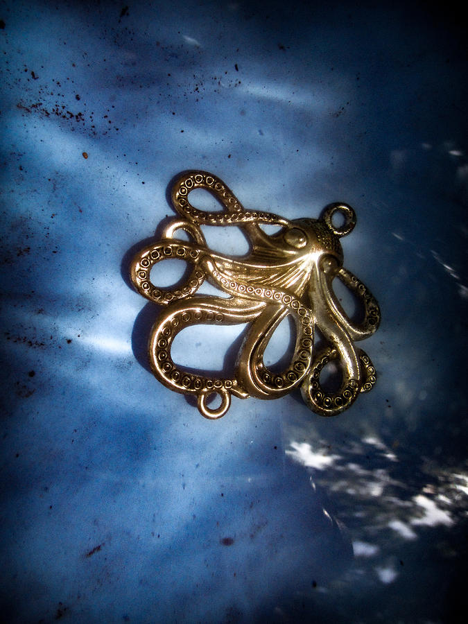 Metal Octopus in Water  Photograph by Windy Craig