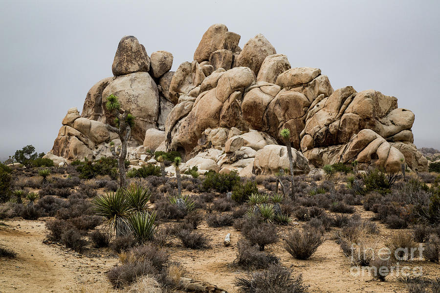 Metamorphic Rocks Photograph by Erin Marie Davis