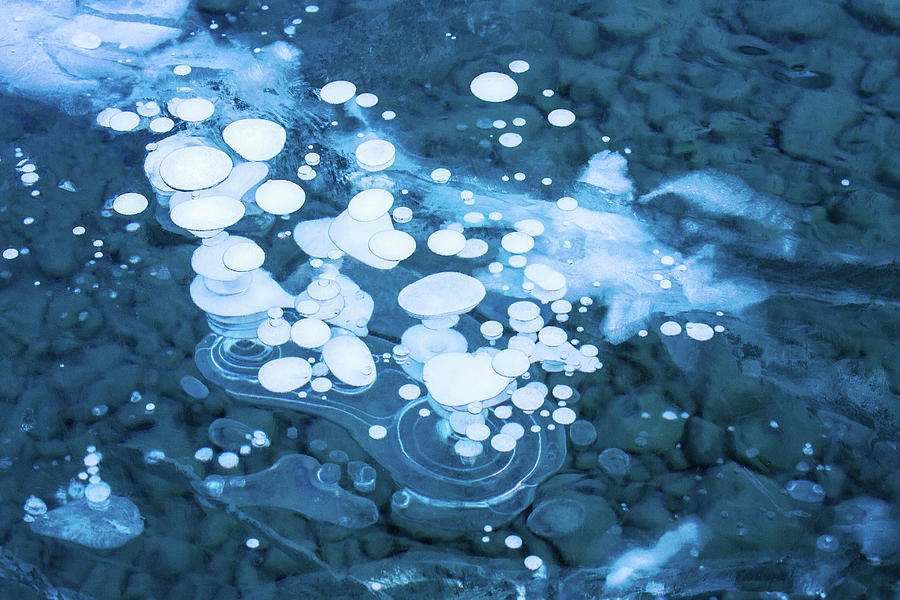 Methane Bubbles Photograph by Alex Mironyuk
