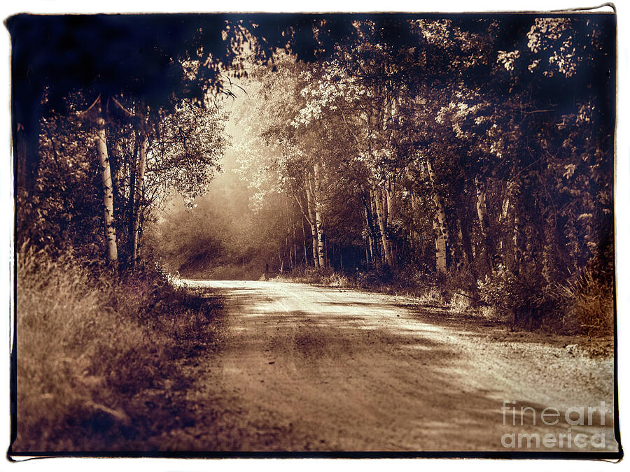 Methow Gold 1993 Photograph By Michael Ziegler Fine Art America