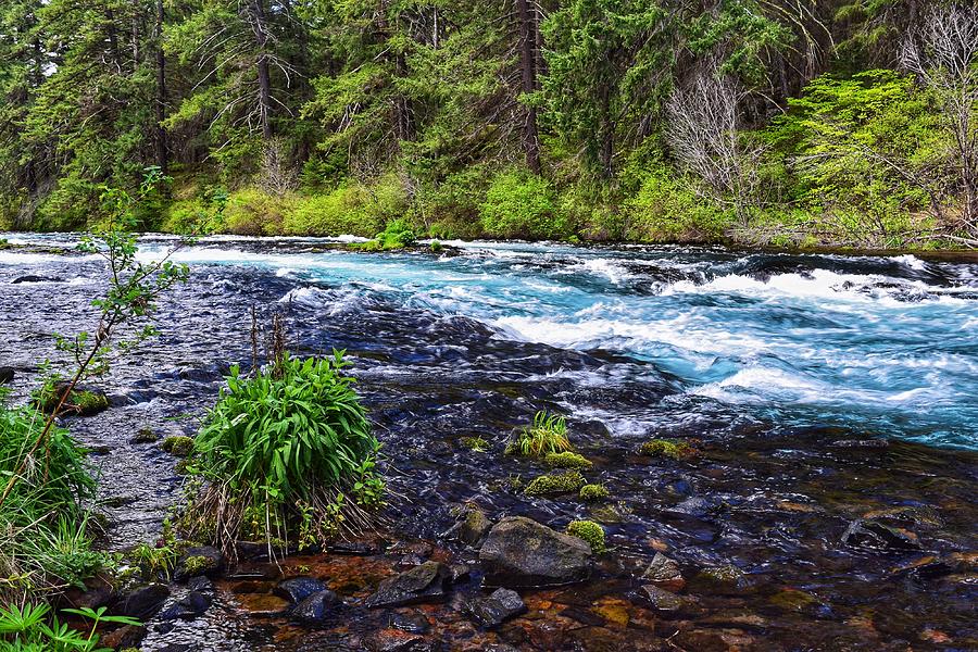 Nature Photograph - Metolius River by Dana Hardy
