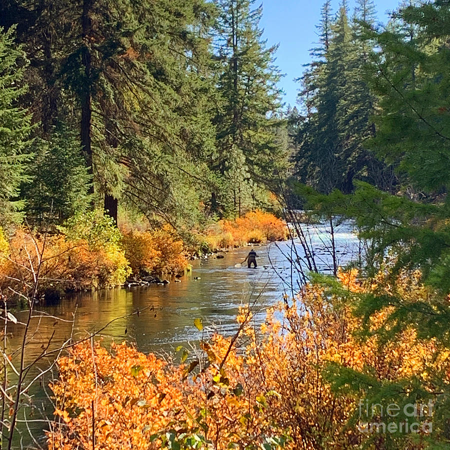 Fall Photograph - Metolius River in fall  by Dorota Nowak