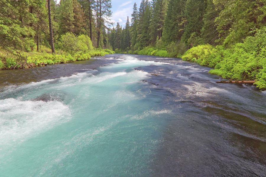Summer Photograph - Metolius River by Loyd Towe Photography