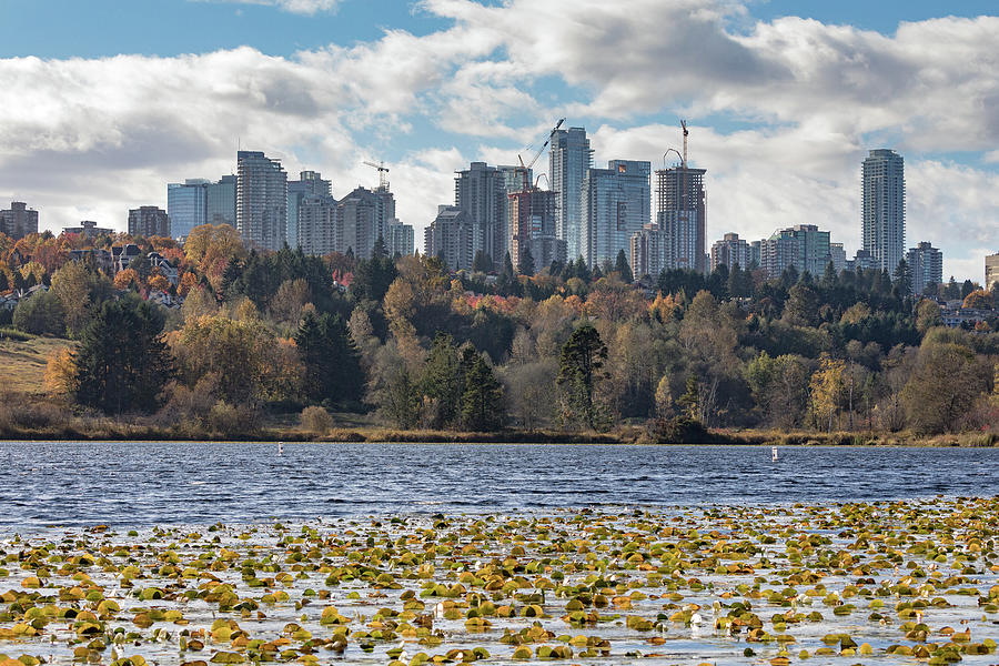 Metrotown Towers from Deer Lake Park Photograph by Michael Russell