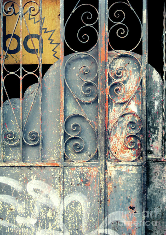 abstract photography - Old Blue Gate Photograph by Sharon Hudson