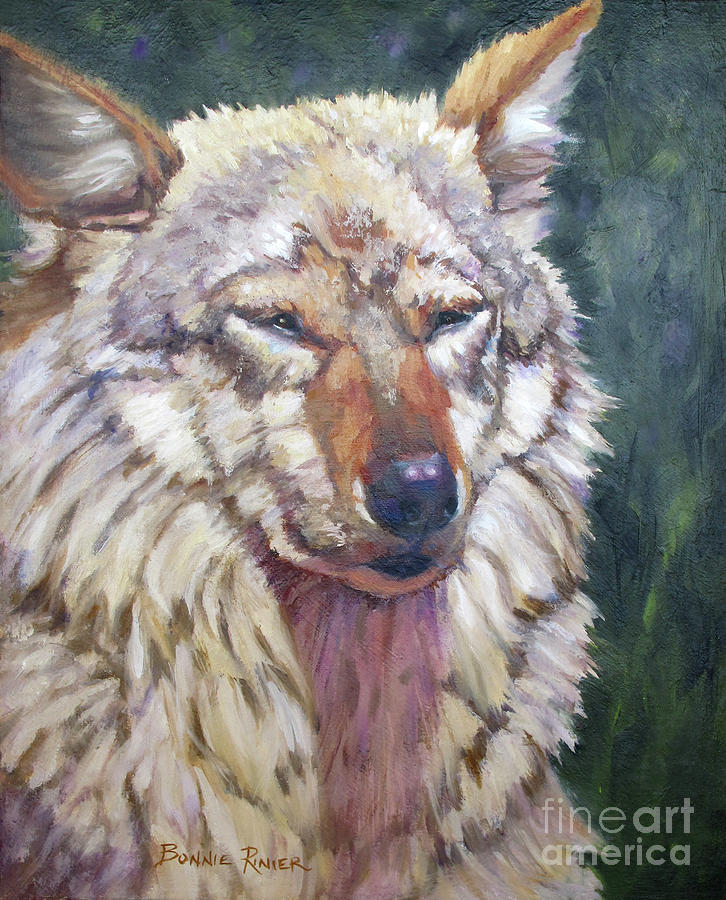 Mexican Gray Wolf Painting by Bonnie Rinier