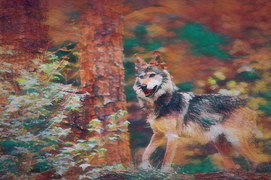 Mexican Grey Wolf 2 Digital Art by Ernest Echols