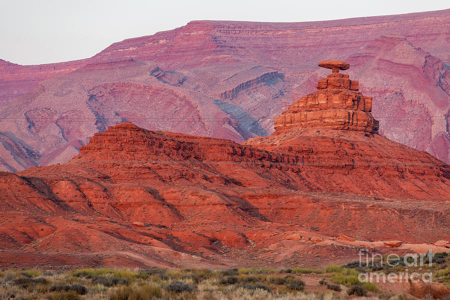 Mexican Hat Rock Photograph by Erin Marie Davis