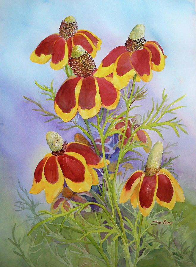 Mexican Hats Painting by Sue Kemp