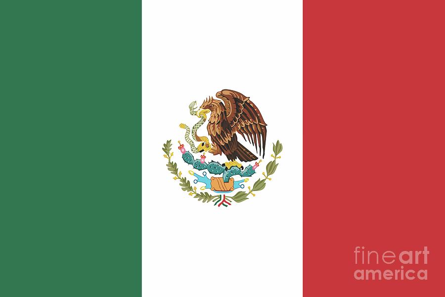 Mexican Mexico Flag Mixed Media by Venustiano Carranza