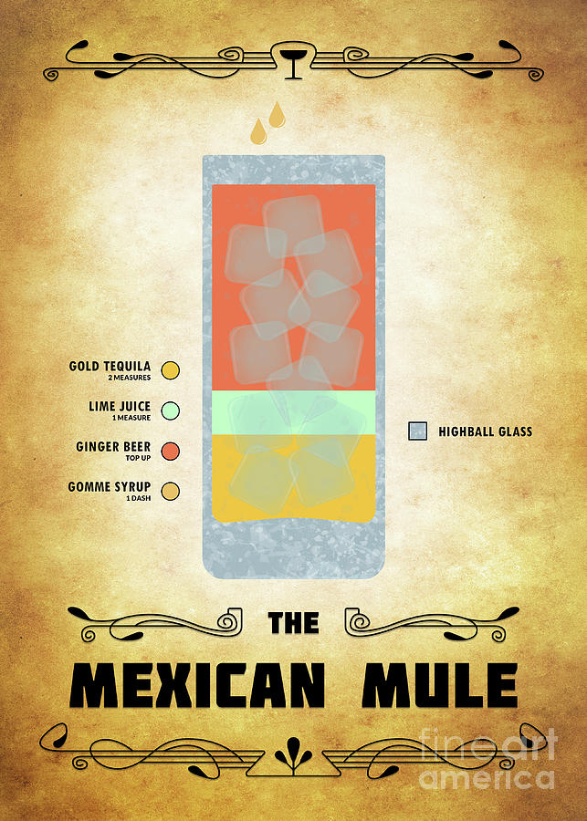 Mexican Mule Cocktail - Classic Digital Art by Bo Kev