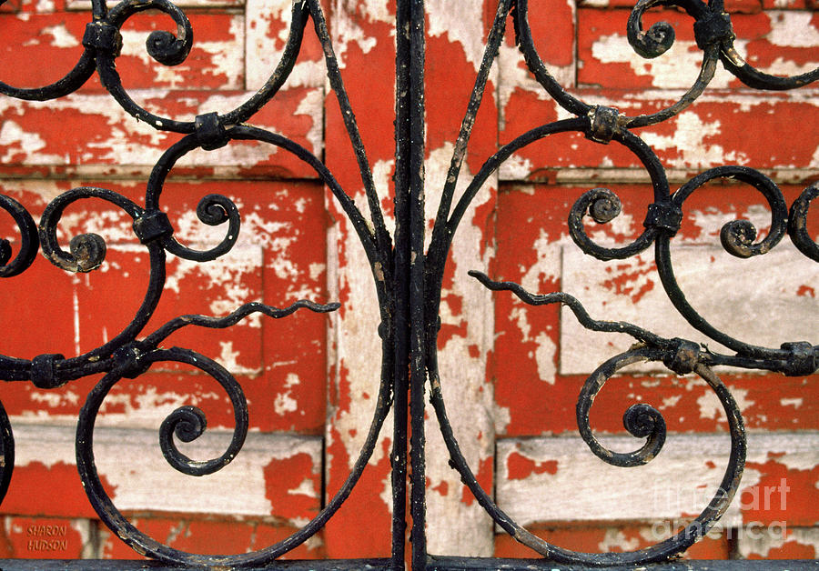 Mexican photography - Ornate Iron Photograph by Sharon Hudson