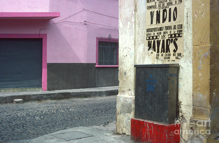 Mexican street photos - Pink Wall Photograph by Sharon Hudson