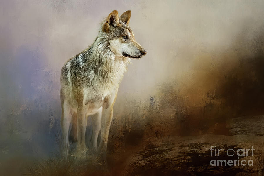 Nature Mixed Media - Mexican Wolf Beauty by Ed Taylor