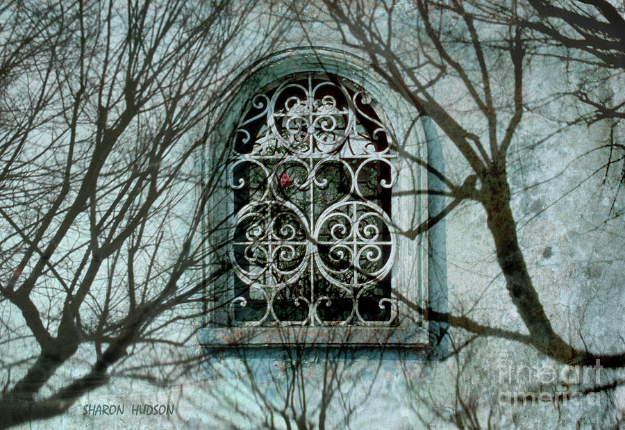 Mexico photography - Arched Window Photograph by Sharon Hudson