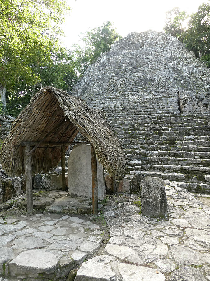 Mexico Ruins Hut and Steps Photograph by Francesca Mackenney