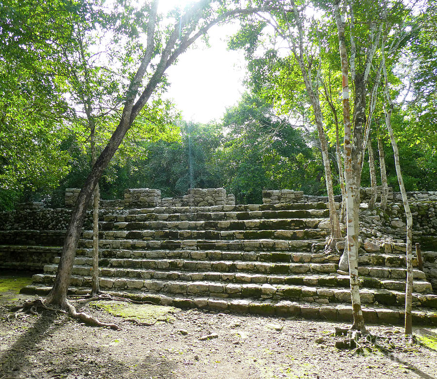 Mexico, Steps, remains of Ruins 2 Photograph by Francesca Mackenney