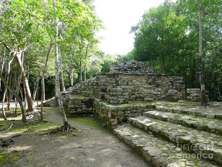 Mexico, Steps, remains of Ruins Photograph by Francesca Mackenney